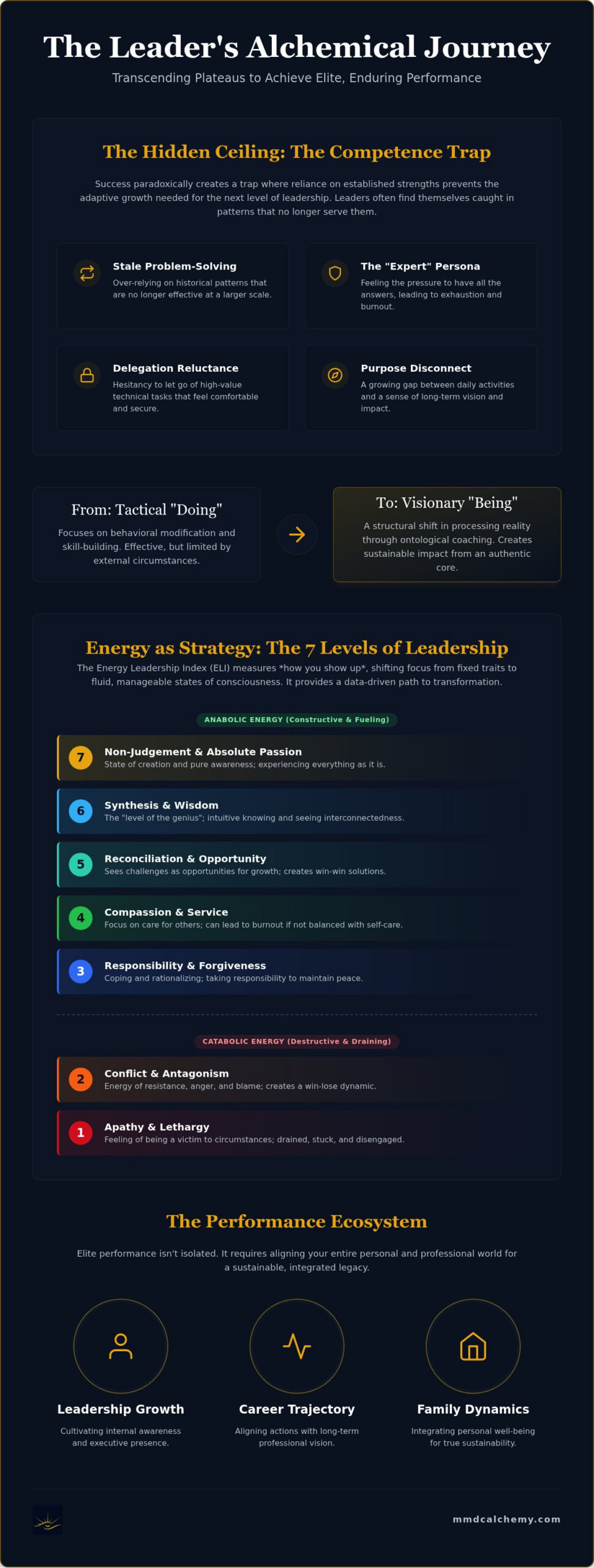 Executive Coaching for High Performers: Mastering the Alchemy of Leadership