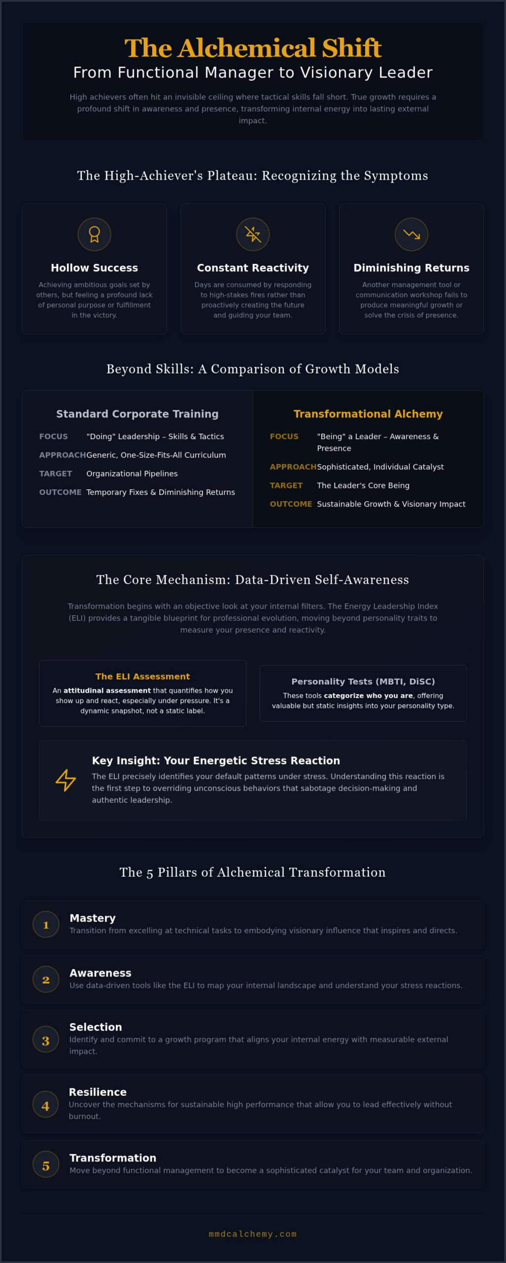 The Alchemy of Mastery: Choosing the Right Individual Leadership Growth Program